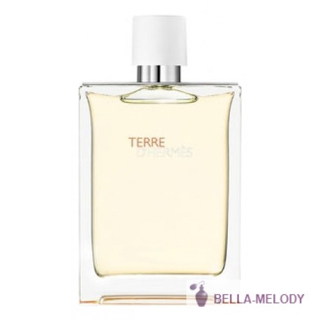 Hermes Terre D'Hermes Eau Tres Fraiche 11