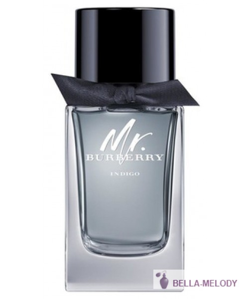 Burberry Mr. Burberry Indigo