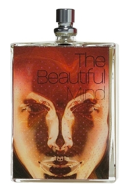 The Beautiful Mind Series Intelligence & Fantasy
