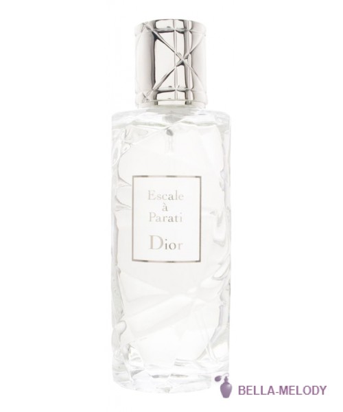 Christian Dior Escale a Parati