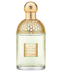 Guerlain Aqua Allegoria Herba Fresca