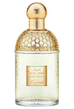 Guerlain Aqua Allegoria Herba Fresca