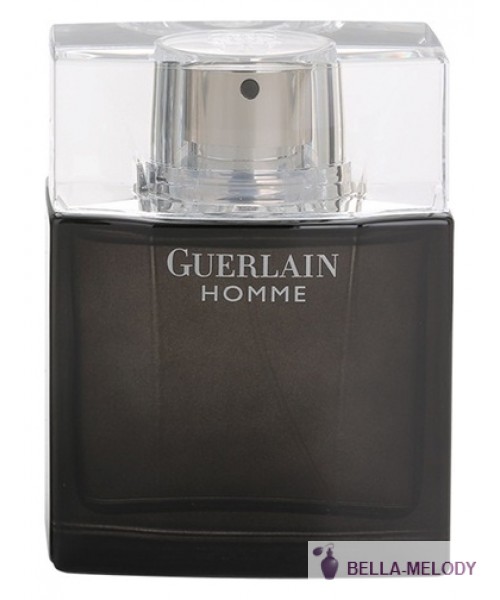 Guerlain Homme Intense