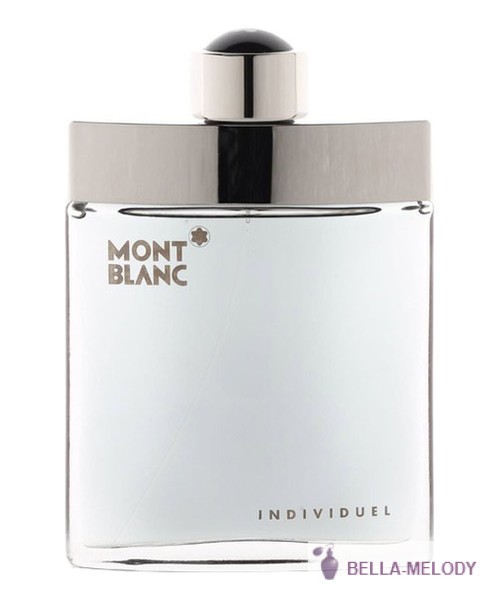 Mont Blanc Individuel Men