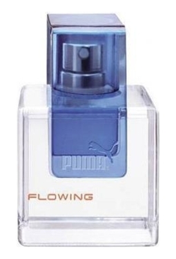 Puma Flowing For Men