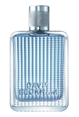 David Beckham The Essence