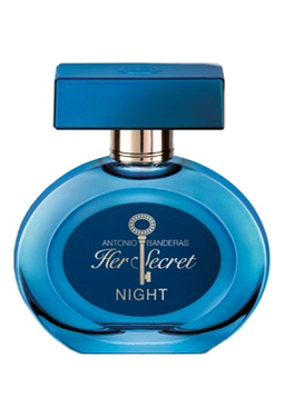 Antonio Banderas Her Secret Night