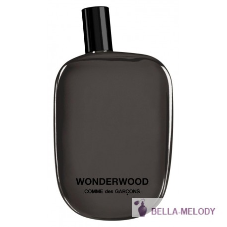 Comme des Garcons Wonderwood 11