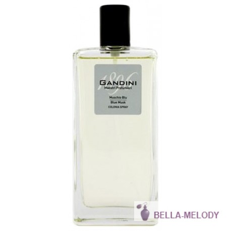 Gandini Muschio Blu 11