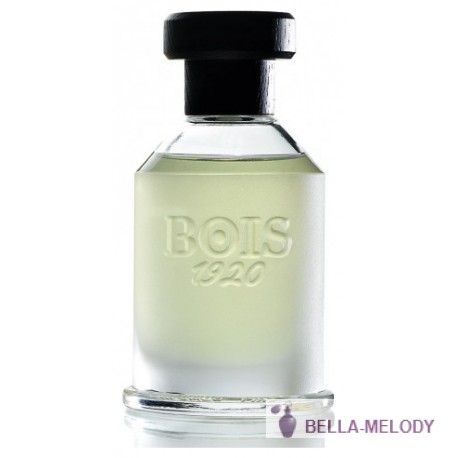 Bois 1920 Magia 11