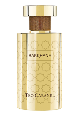 Teo Cabanel Barkhane