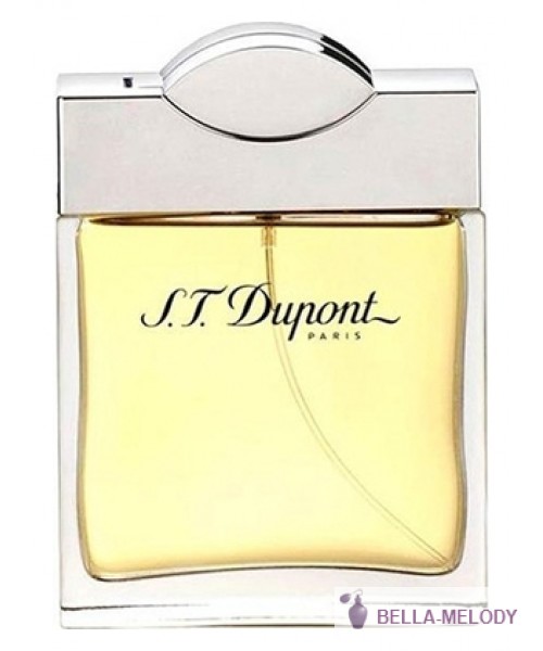S.T. Dupont For Men