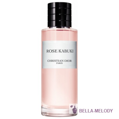 Christian Dior Rose Kabuki 11