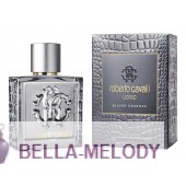 Roberto Cavalli Uomo Silver Essence