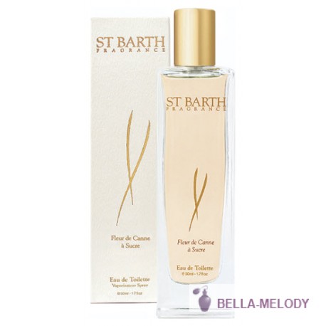 Ligne St Barth Fleur De Canne A Sucre 22