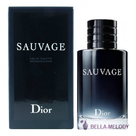 Christian Dior Sauvage 2015 22