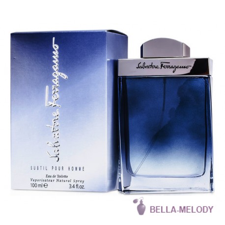 Salvatore Ferragamo Subtil Pour Homme 22
