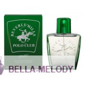 Beverly Hills Polo Club Colors For Men