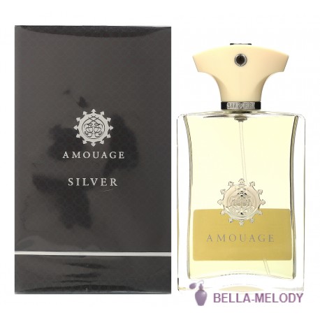 Amouage Silver For Men 22