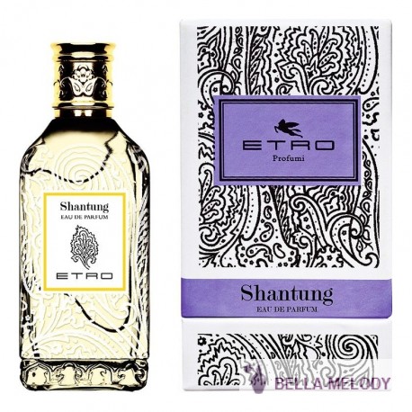Etro Shantung 22