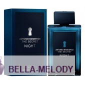 Antonio Banderas The Secret Night