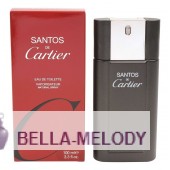 Cartier Santos De Cartier